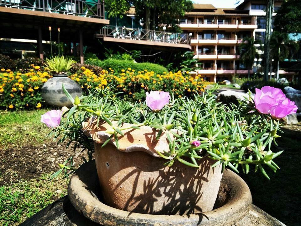 Arayana Phupimarn Resort & Spa Pak Chong Exterior foto